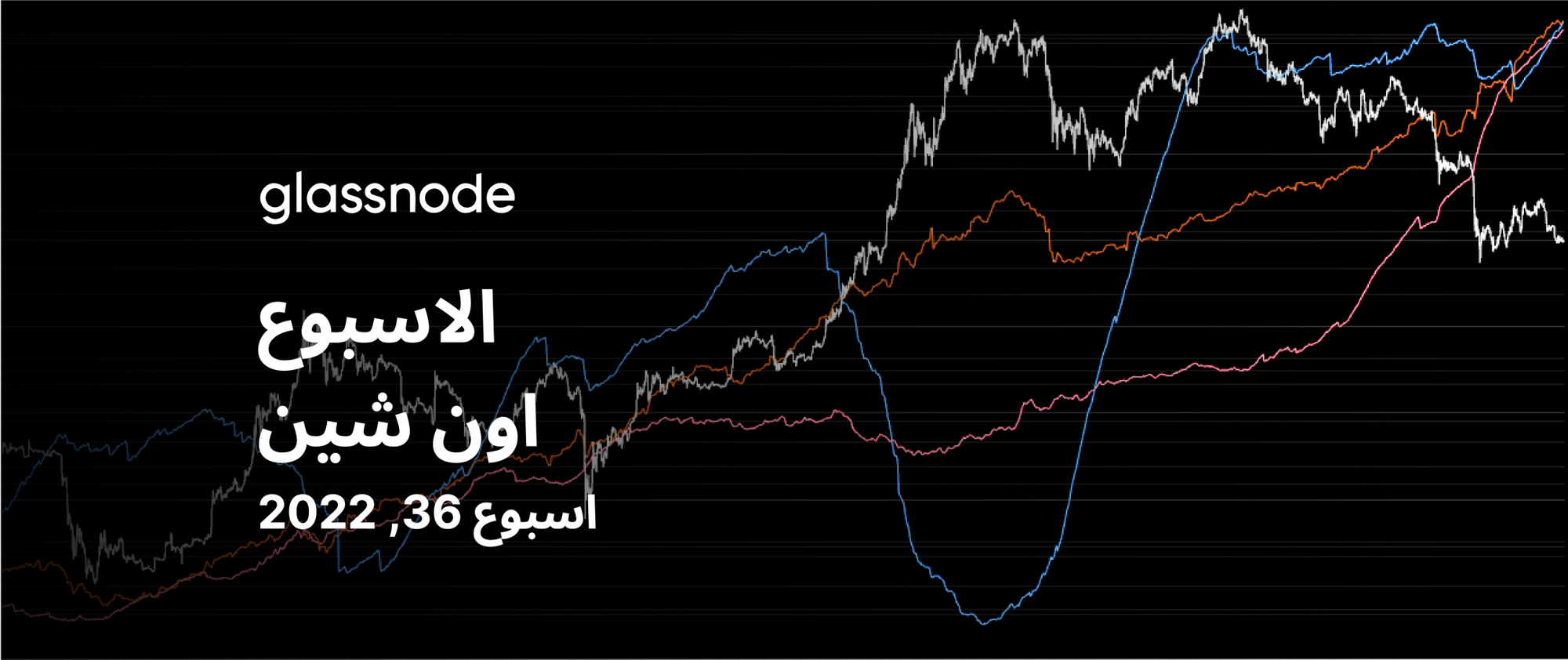 اختبار صعب للمضاربين