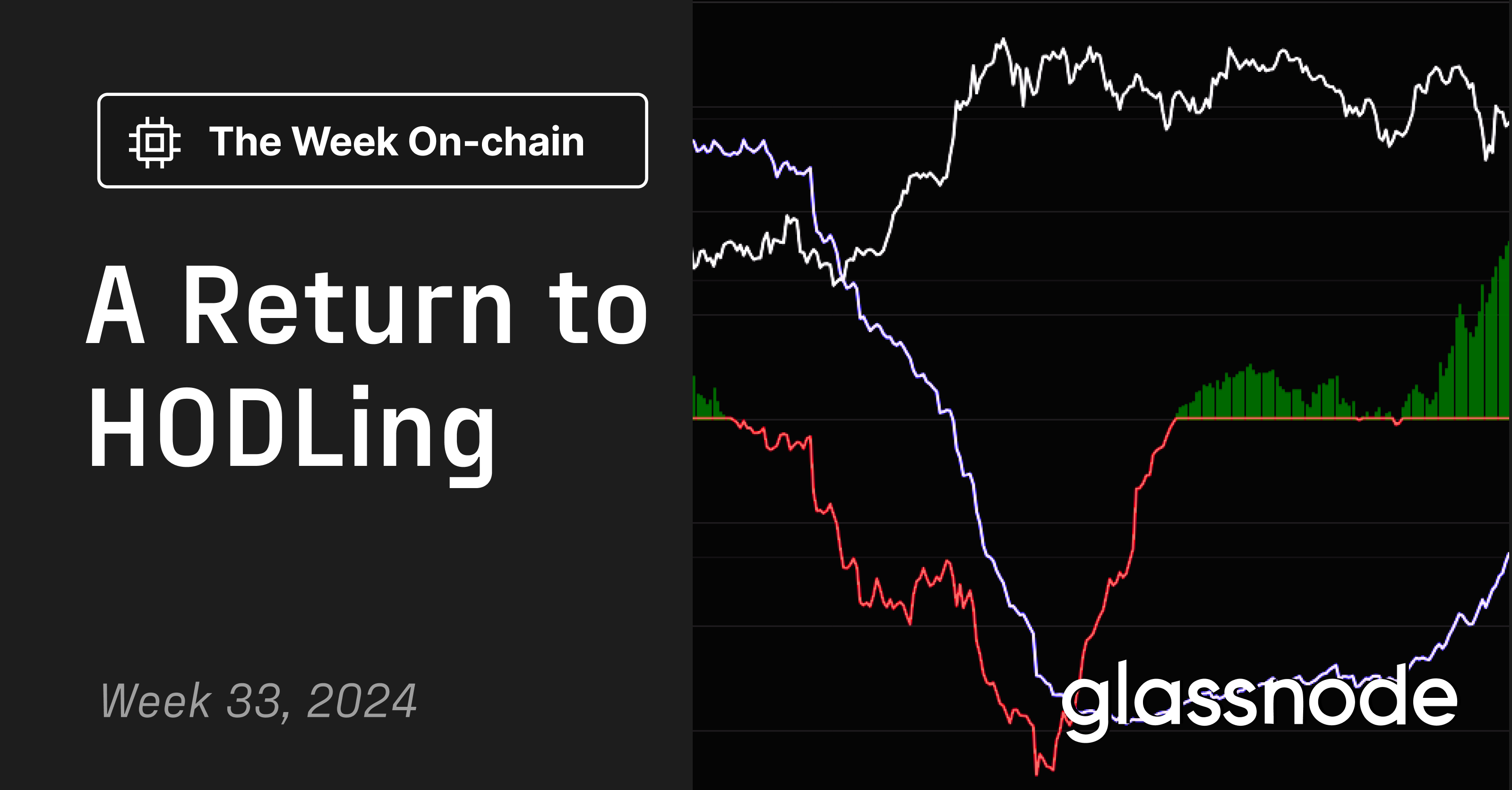 A Return to HODLing