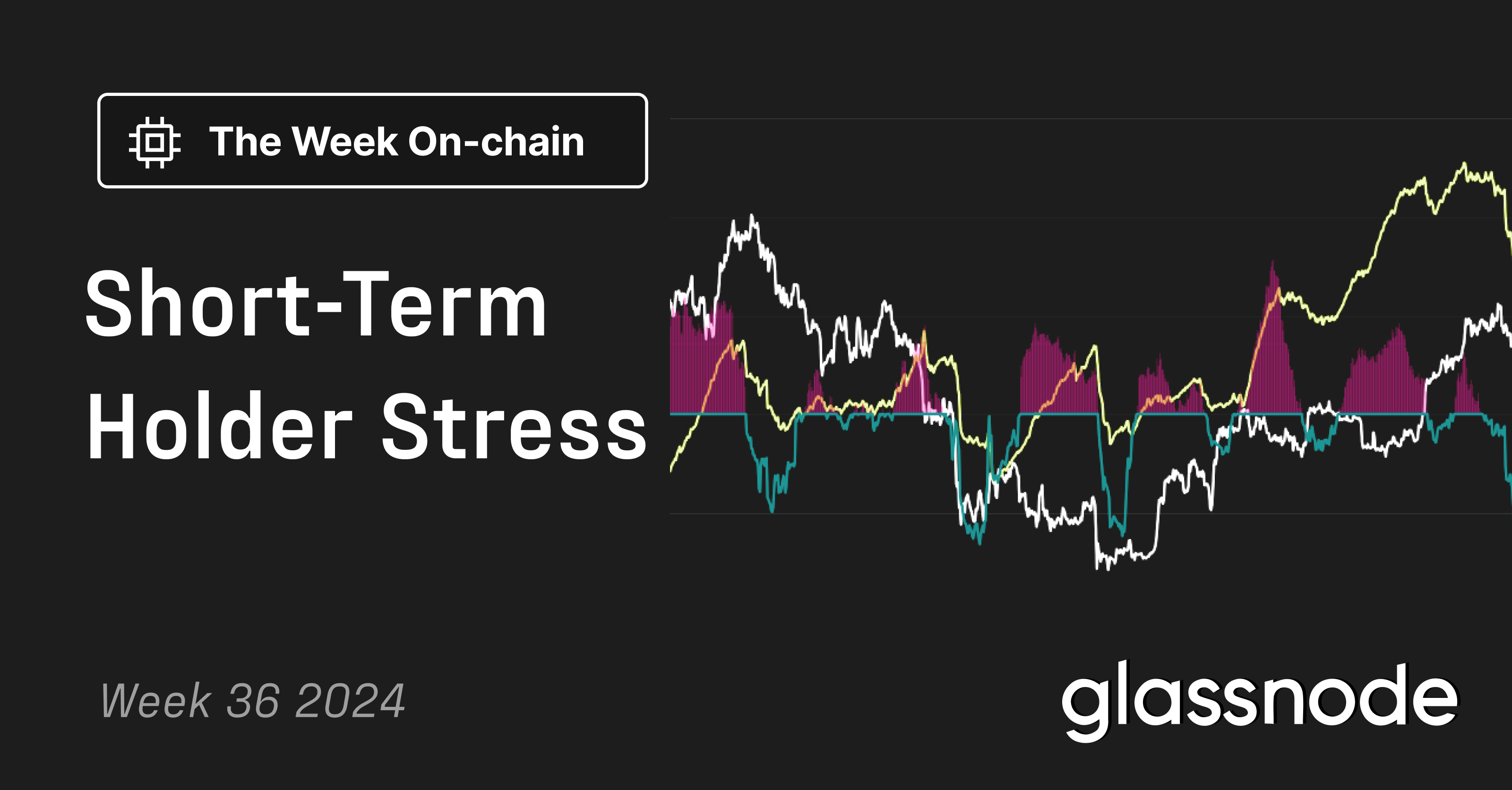 Short-Term Holder Stress