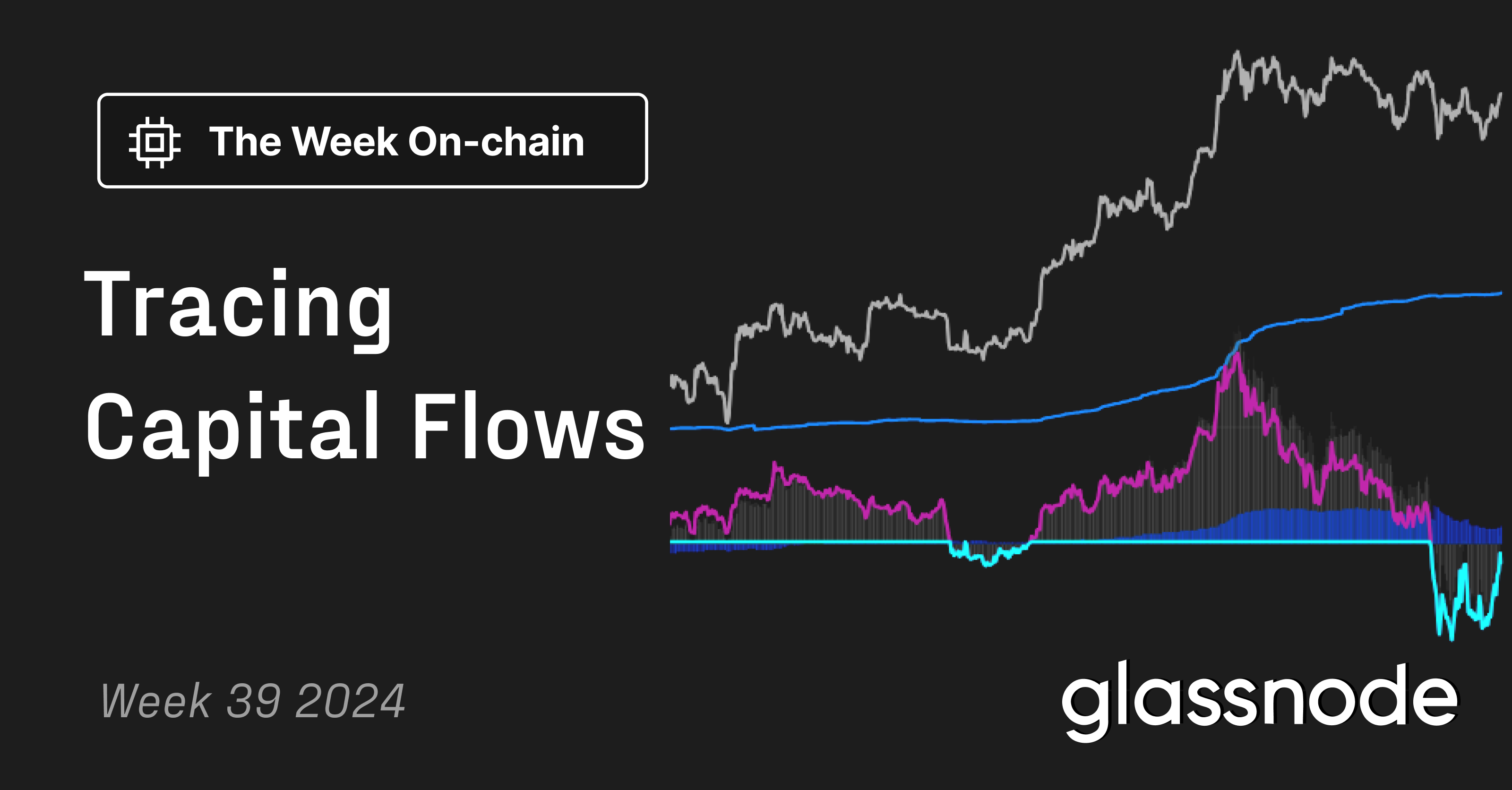 Tracing Capital Flows