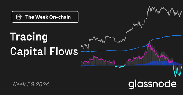 Tracing Capital Flows