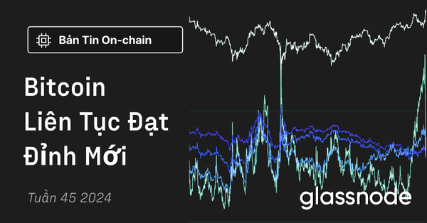 Bitcoin Liên Tục Đạt Đỉnh Mới