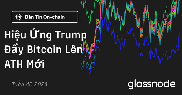 Hiệu Ứng Trump Đẩy Bitcoin Lên ATH Mới