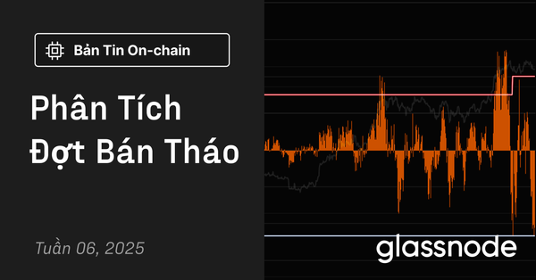 Phân Tích Đợt Bán Tháo